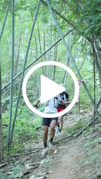 BIB:  <button type="button" onclick="openModal(28039426)" class="btn btn-primary btn-sm float-right" data-toggle="modal" data-target=".modal-high-quality">
                <i class="fa fa-download"></i> Download
                </button>